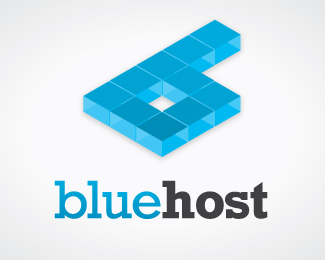 Client Company
